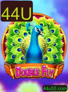 Descubra o Inovador Jogo DoubleFly: Regras e Estrutura em Detalhe